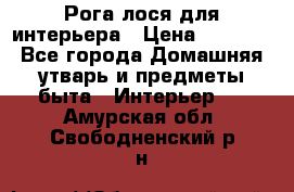 Рога лося для интерьера › Цена ­ 3 300 - Все города Домашняя утварь и предметы быта » Интерьер   . Амурская обл.,Свободненский р-н